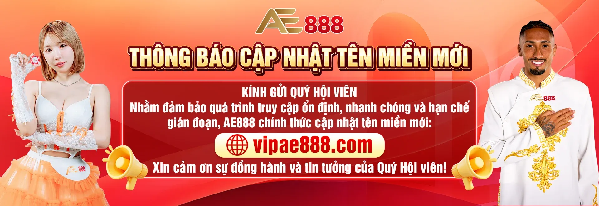 banner-ae888
